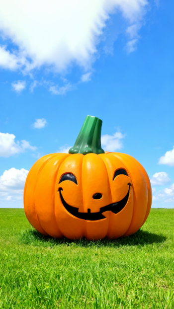 玻璃钢南瓜雕塑 (1)