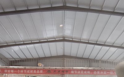 6米龙柱 大型玻璃钢雕塑定制，源头厂家来图加工
