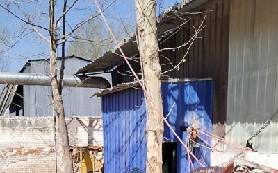 仿真小马玻璃钢雕塑定制，源头厂家来图加工