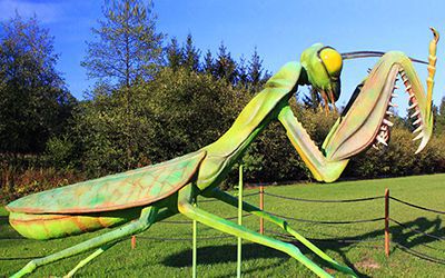 螳螂动物雕塑