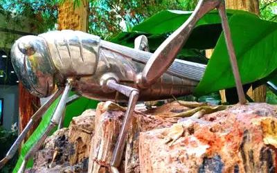 不锈钢蛐蛐雕塑